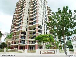The Tanamera (D16), Condominium #444645341